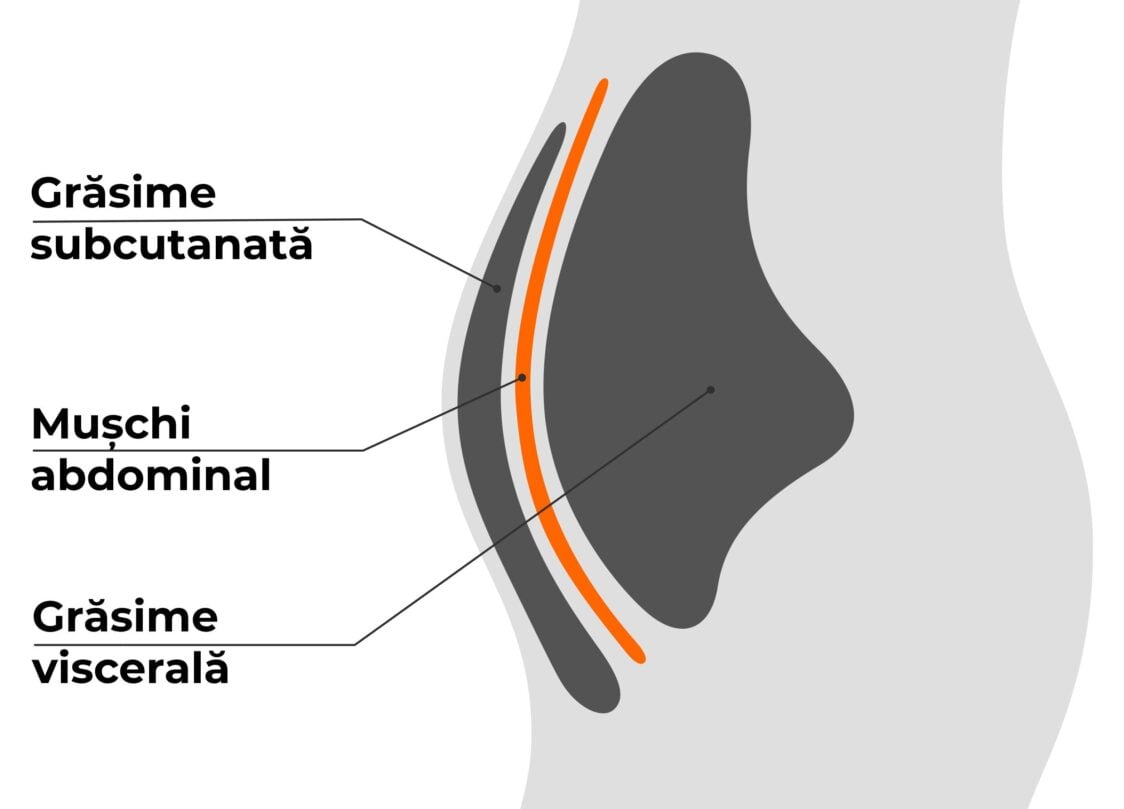 Straturile de grăsime