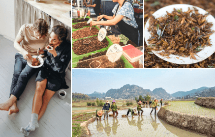 Insectele și gândacii – tot ce este important să știți înainte să încercați un greier