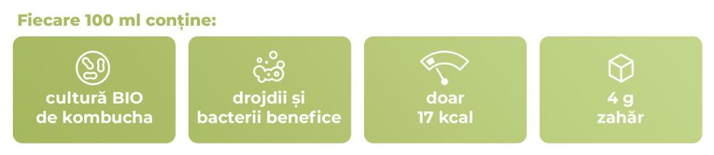 BIO Kombucha - GymBeam