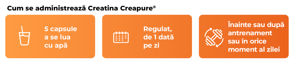 Creatină (100% Creapure®) - GymBeam