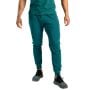 Pantaloni sport pentru bărbați Nova Deep Teal - STRIX S