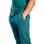 Pantaloni sport pentru bărbați Nova Deep Teal - STRIX S