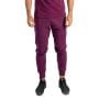 Pantaloni sport pentru bărbați Nova Plum - STRIX XXL