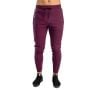 Pantaloni sport pentru bărbați Nova Plum - STRIX XXL