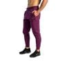Pantaloni sport pentru bărbați Nova Plum - STRIX XXL