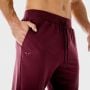 Pantaloni Lab 360 Joggers Tawny Port - SQUATWOLF S