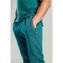 Pantaloni sport pentru bărbați Nova Deep Teal - STRIX S