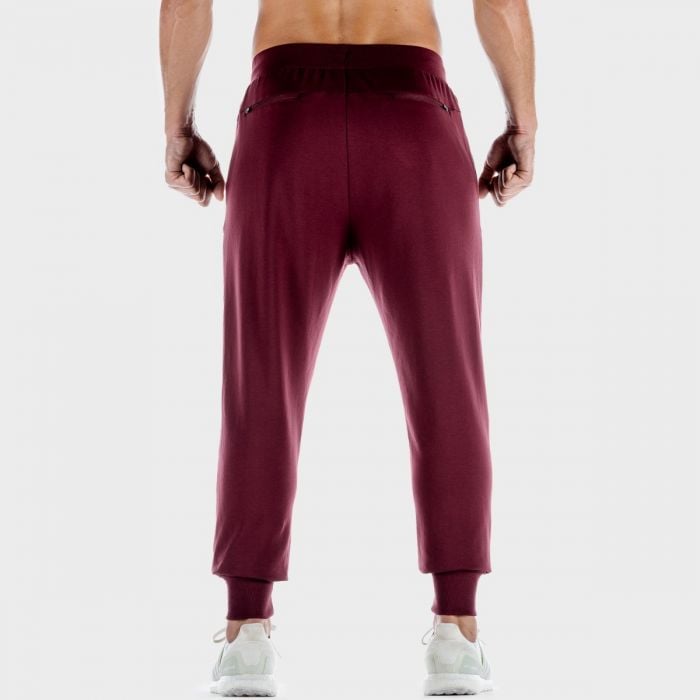 Pantaloni Lab 360 Joggers Tawny Port - SQUATWOLF S