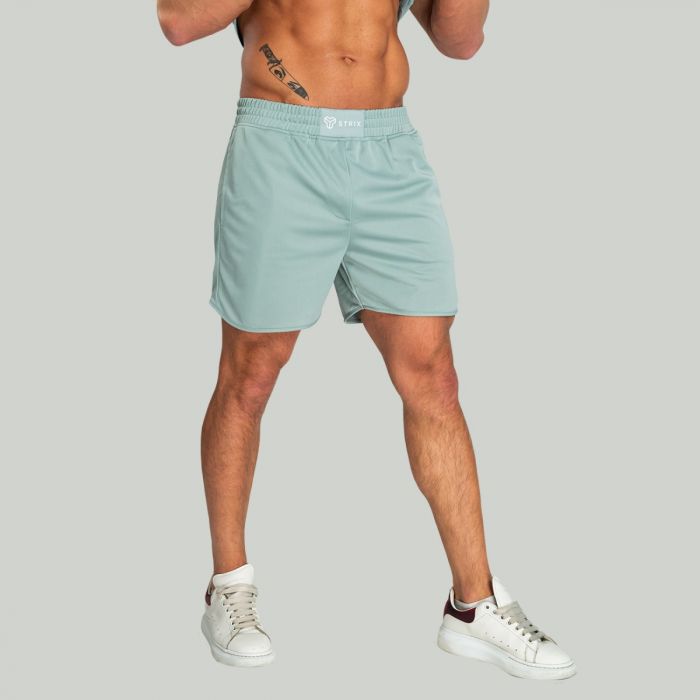 Pantaloni scurți Nebula Stone Blue - STRIX M