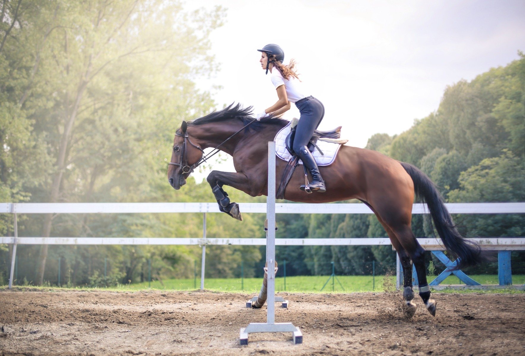 Complex pentru articulații Triple Blend Extra Puternic - Alavis