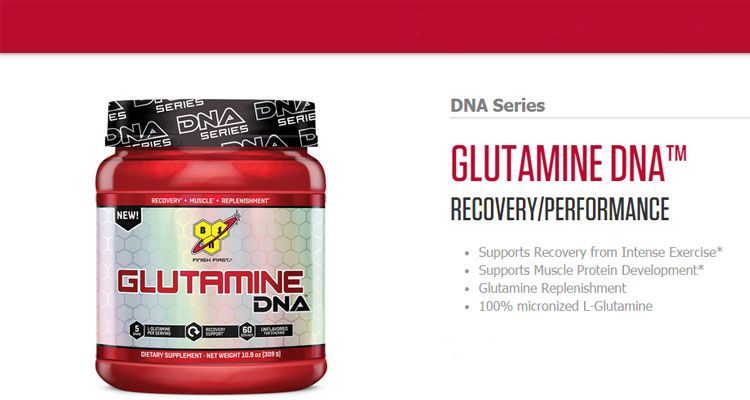 glutamine DNA BSN