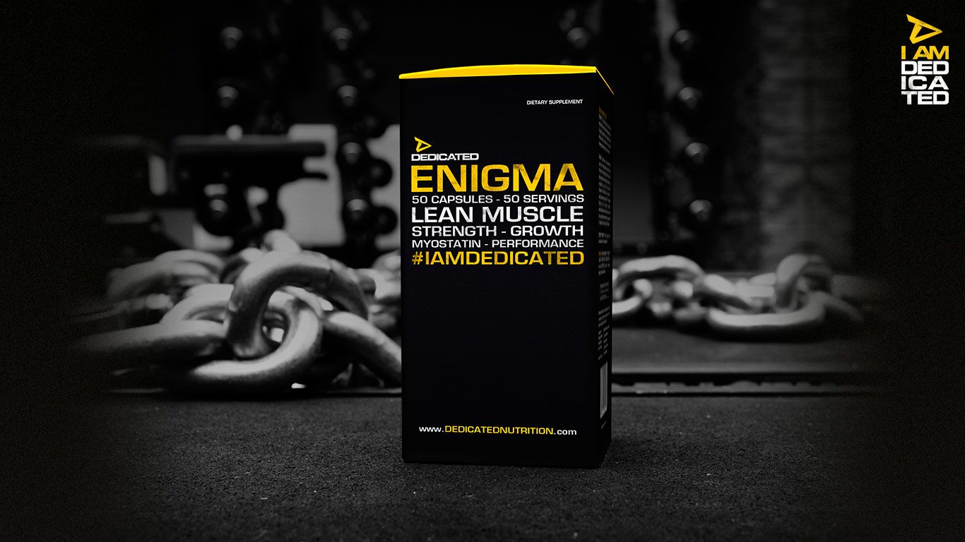 Enigma - Dedicated